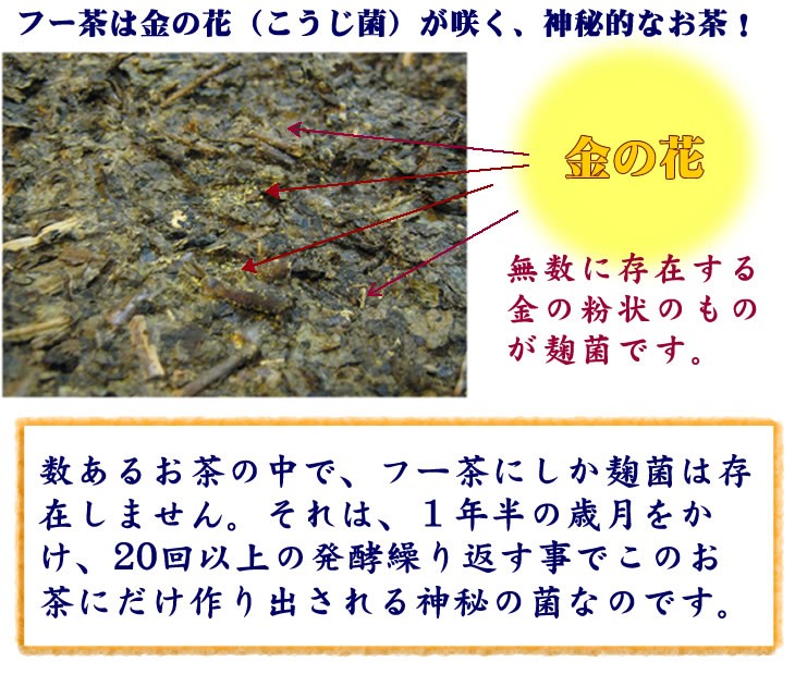 黒茶ギフト、黒茶、フー茶、茯茶、茯磚茶、黒磚茶、天茯茶、千両茶、茉莉花