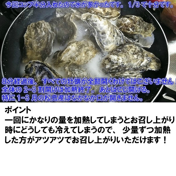 10％OFFクーポン有】海から水揚げしたままの牡蠣【要説明確認】10kg 生