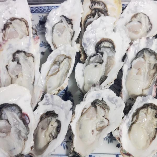 20kg（牡蠣）｜魚介類、海産物 | 食品 の商品一覧 通販 - Yahoo