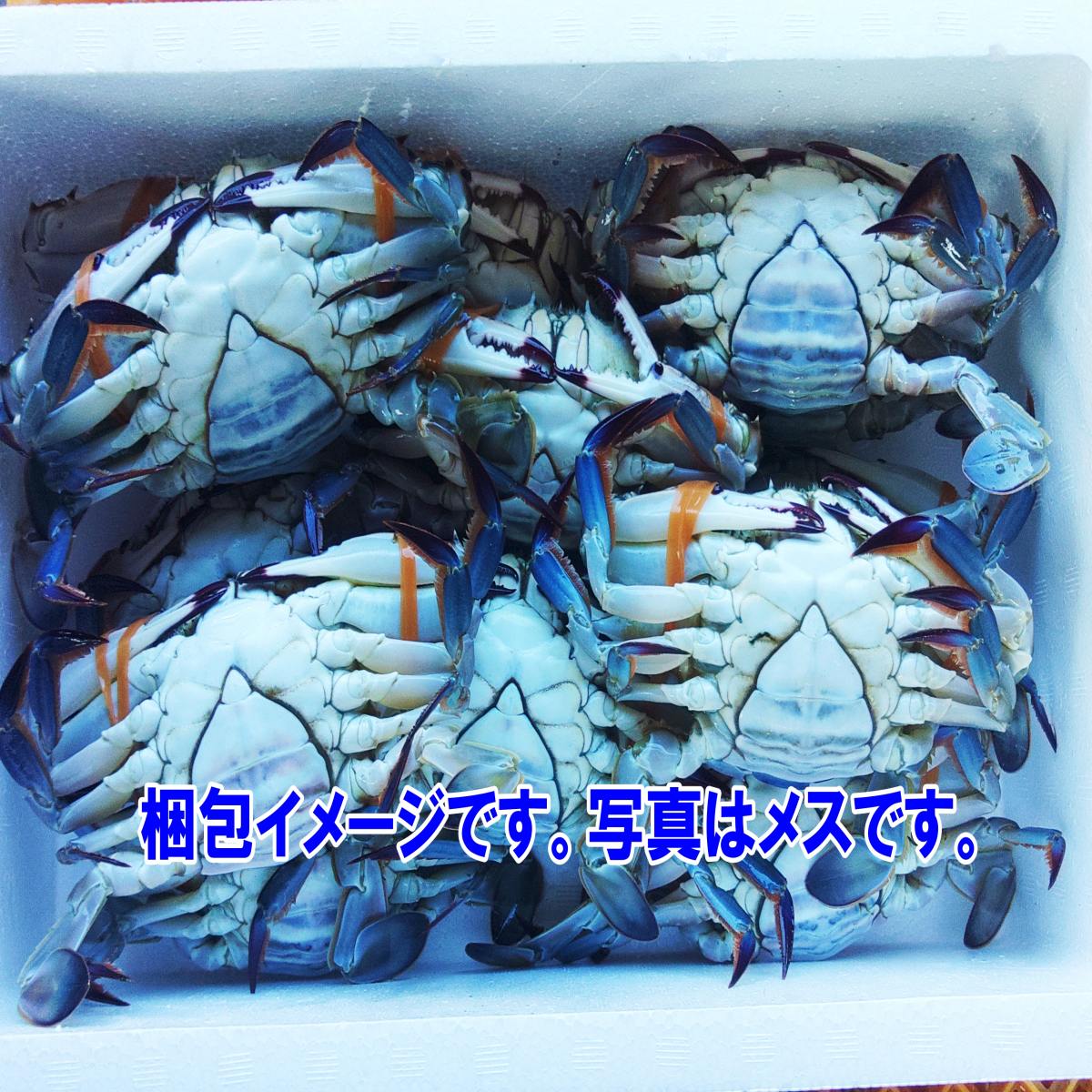 新商品 10％OFFクーポン有】冷凍出荷 ワタリガニ オス小サイズ2kg