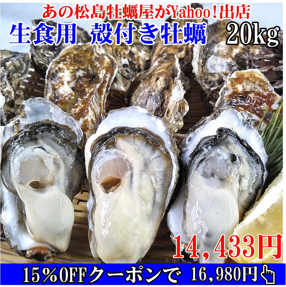 20kgの殻付き生牡蠣