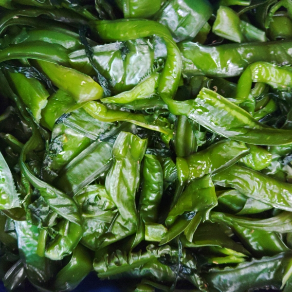 20％OFFクーポン有】5kg 2026年製品 塩蔵茎ワカメ 完全訳あり品 塩蔵 塩ワカメ❣５キロ