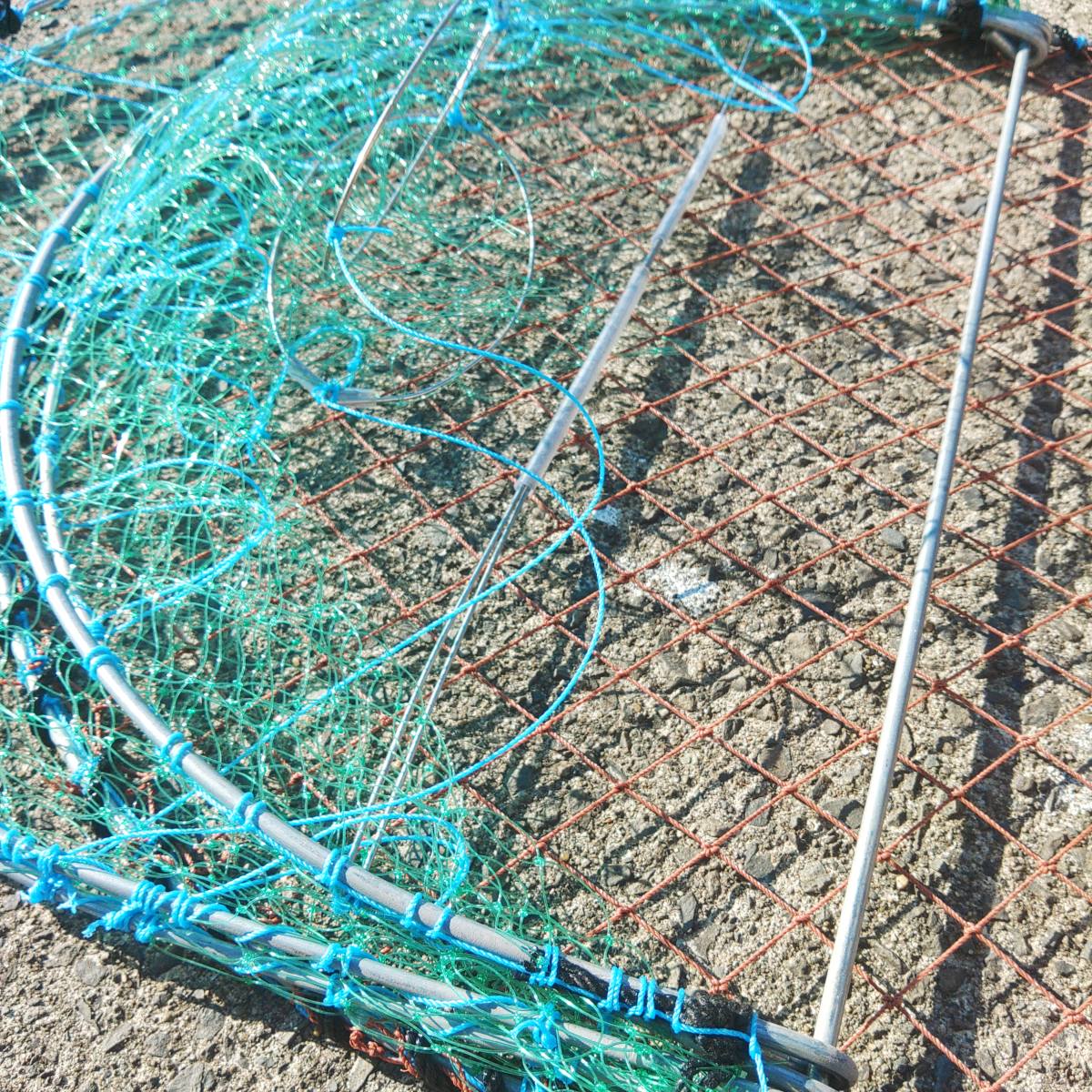 【プロ仕様】緑テグス ワタリガニカゴ 30枚セット ガザミカゴ カニカゴ 蟹カゴ 蟹篭 魚採り 蟹採り 漁具 蟹取り 渡り蟹 カゴ漁 仕掛け もんどり モンドリ 爆買_1
