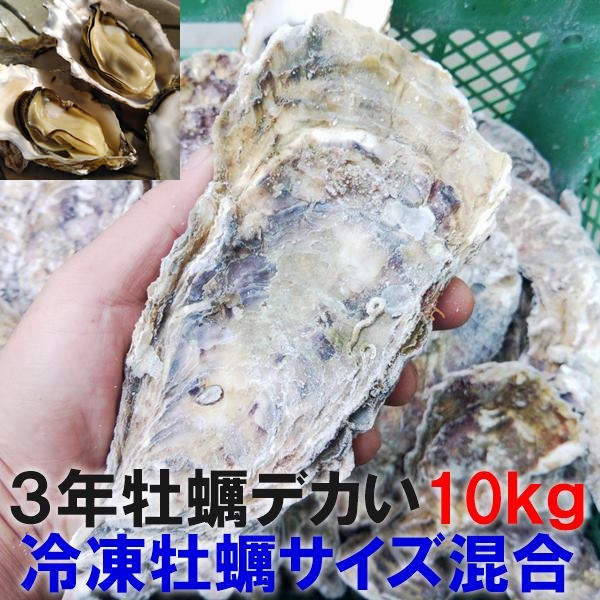 ３年10ｋ