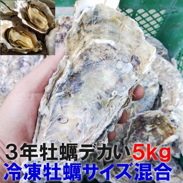 ３年5ｋ