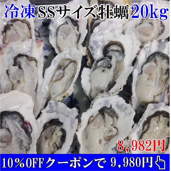 【10％OFFクーポン有】小さい牡蠣 殻付き 牡蠣 SSサイズ ２０ｋｇ 冷凍便 加熱用牡蛎牡蠣 殻付 宮城県 カキ 牡蛎 BBQ かき 海産物貝類 松島牡蠣屋 冷凍牡蠣 爆買