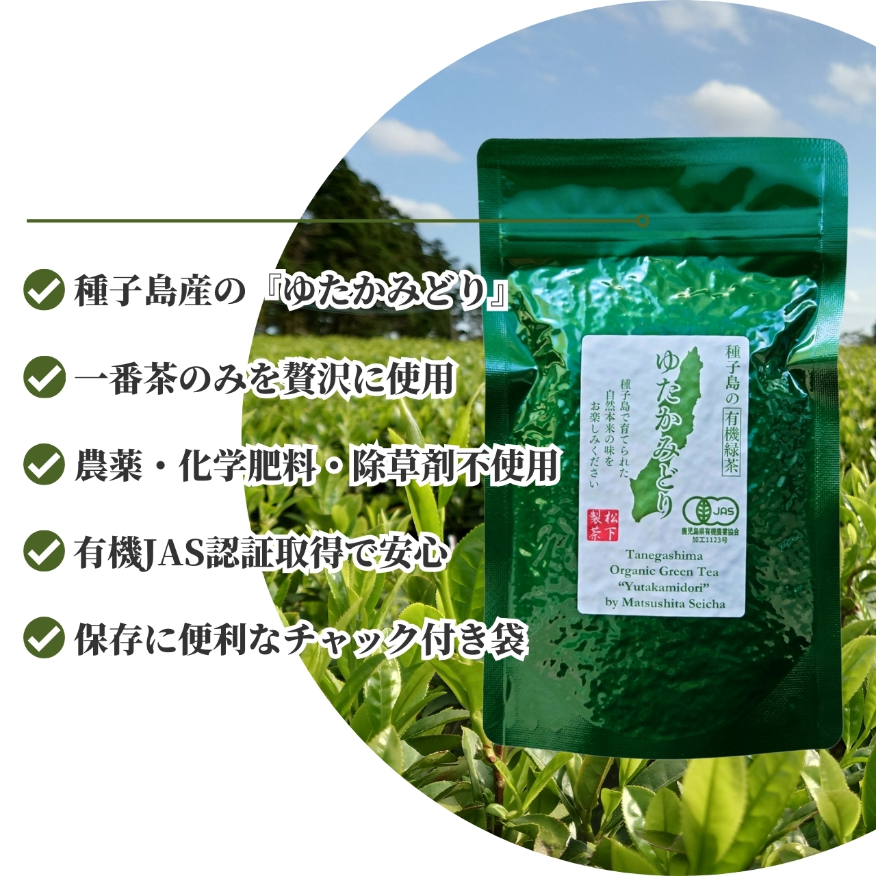 松下製茶 種子島の有機緑茶『ゆたかみどり』 茶葉(リーフ) 100g |  | 01