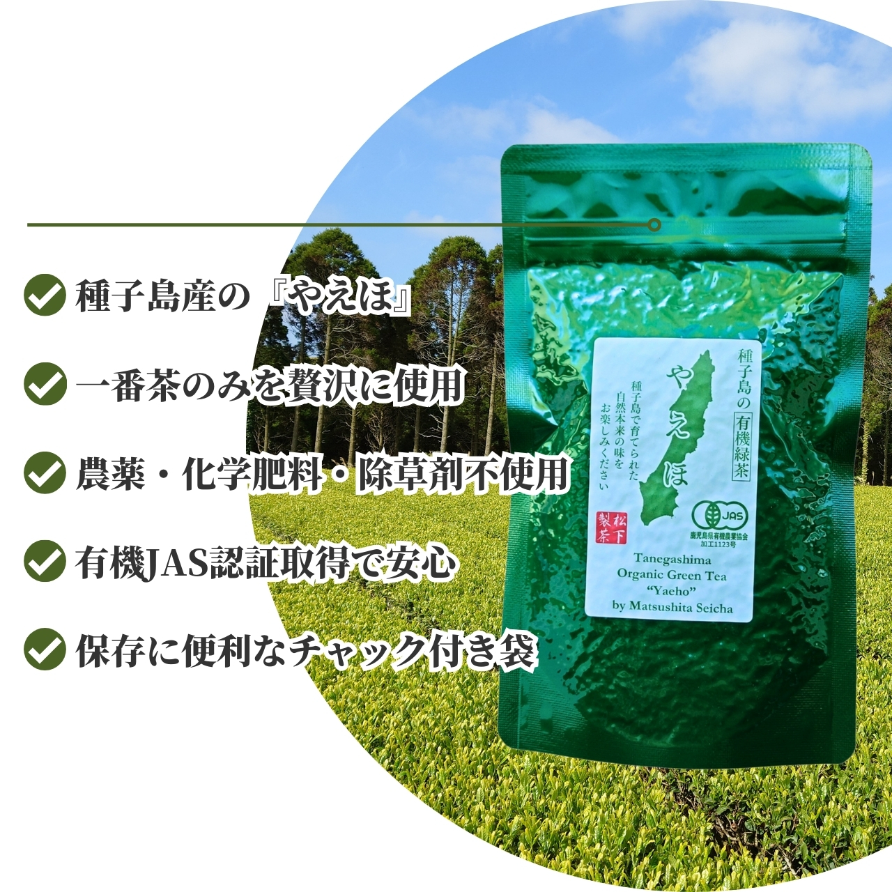 松下製茶 種子島の有機緑茶『やえほ』 茶葉(リーフ) 100g |  | 01