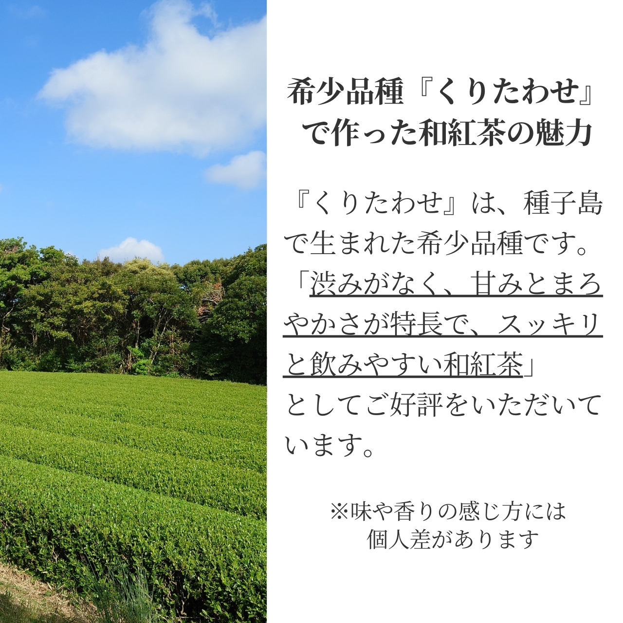 くりたわせとは