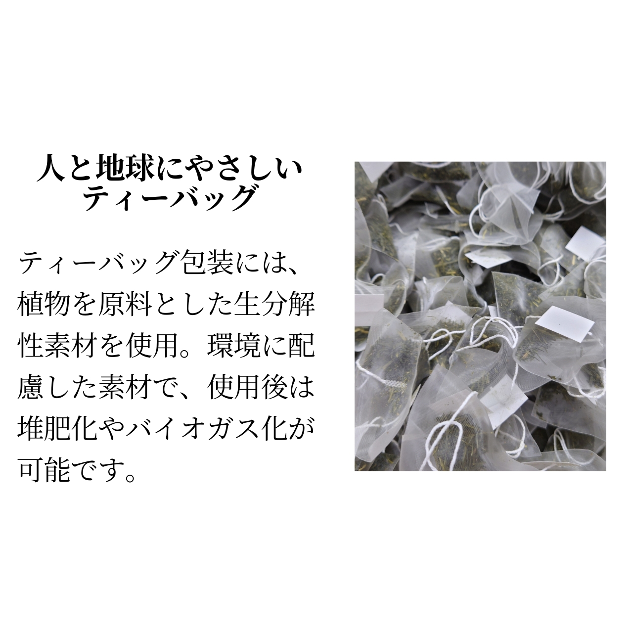 松下製茶 種子島の有機緑茶ティーバッグ『やぶきた』 40g(2g×20袋入り) |  | 11