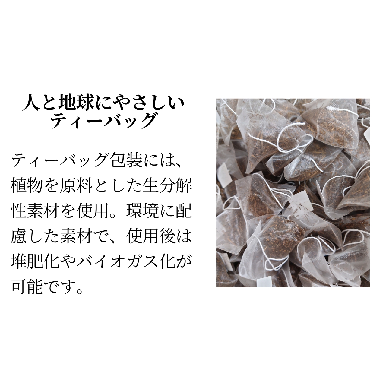 松下製茶 種子島の有機ほうじ煎茶ティーバッグ 48g(3g×16袋入り) |  | 11