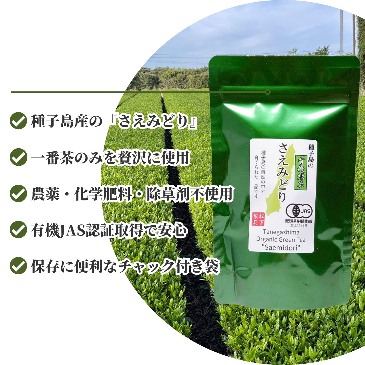 松下製茶 種子島の有機緑茶『さえみどり』 茶葉(リーフ) 100g |  | 01
