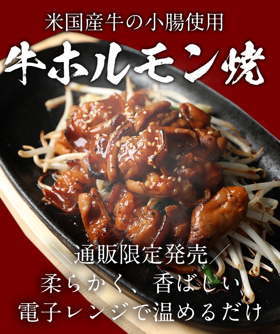 メーカー希望小売価格12 900円 5 春早割 999円 牛丼 牛丼の具 牛ホルモン焼き5個 絶品 肉 通販限定発売 牛めしの具 プレミアム仕様 25個セット レンジ