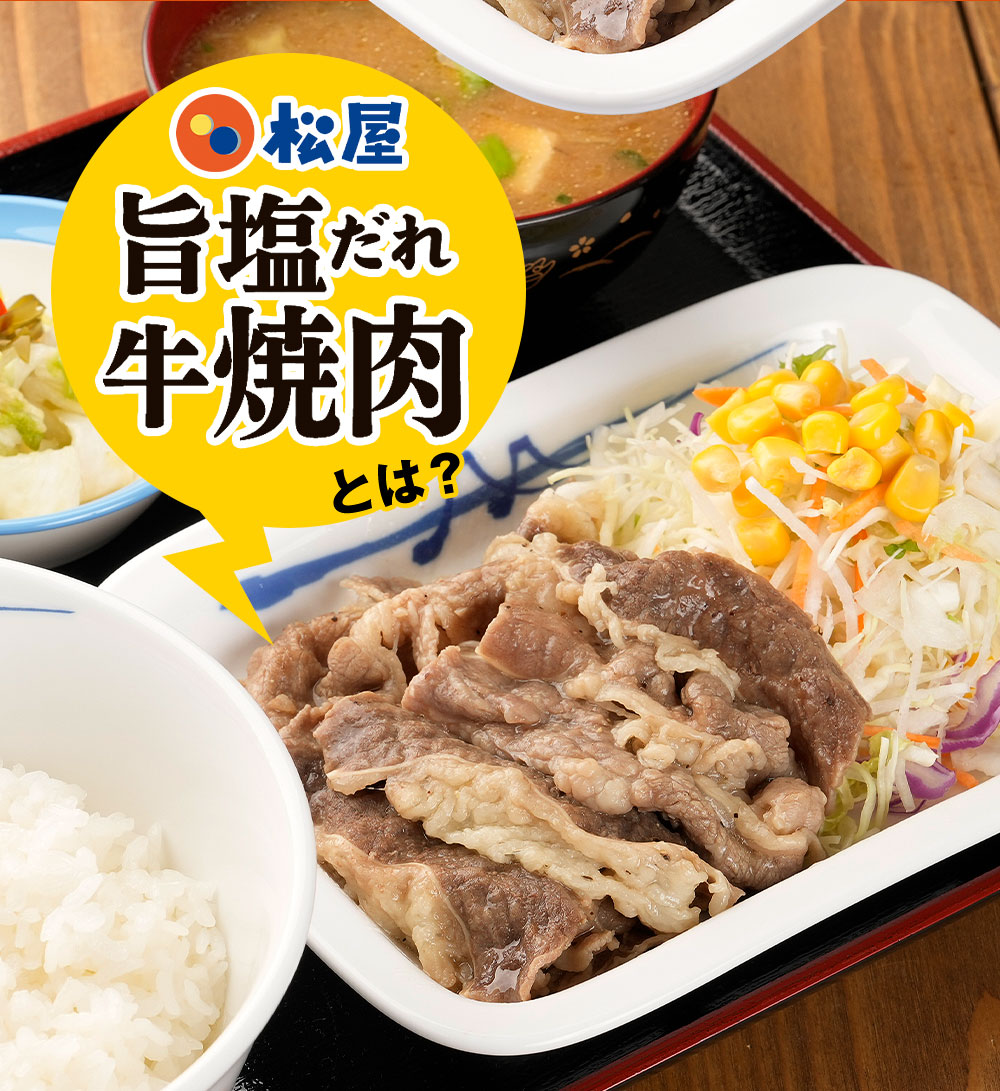 牛丼 牛丼の具 松屋 松屋 牛焼肉（旨塩だれ）＆プレミアム仕様牛めし20食グルメ（牛焼肉旨塩だれ60g ×10 プレミアム仕様牛めし×10） 仕送り 業務用 食品｜matsuyafoods｜06