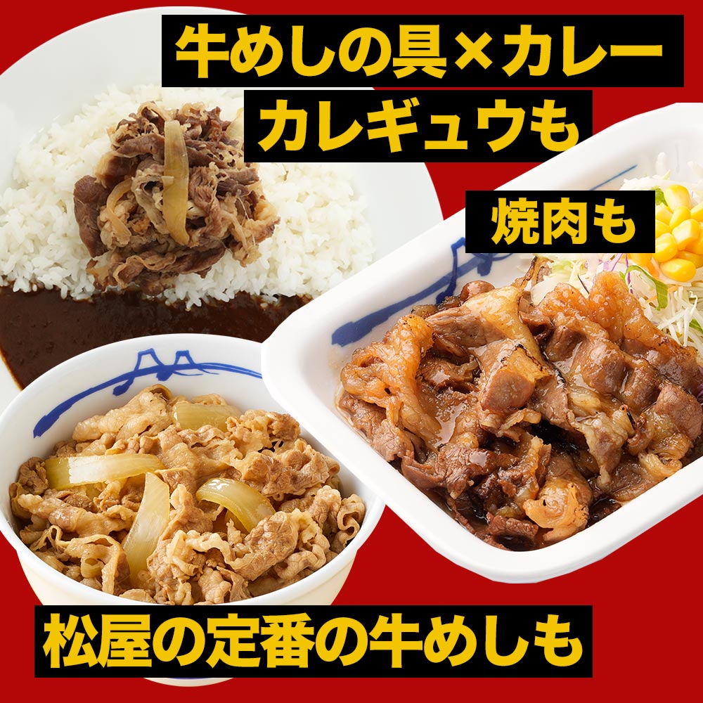 (メーカー希望小売価格13,120円 → 5,680円！)定番福袋 3種24食+鰻 (プレミアム仕様牛めし×14 オリジナルカレー×8 牛カルビ焼肉×2 鰻×1）｜matsuyafoods｜05