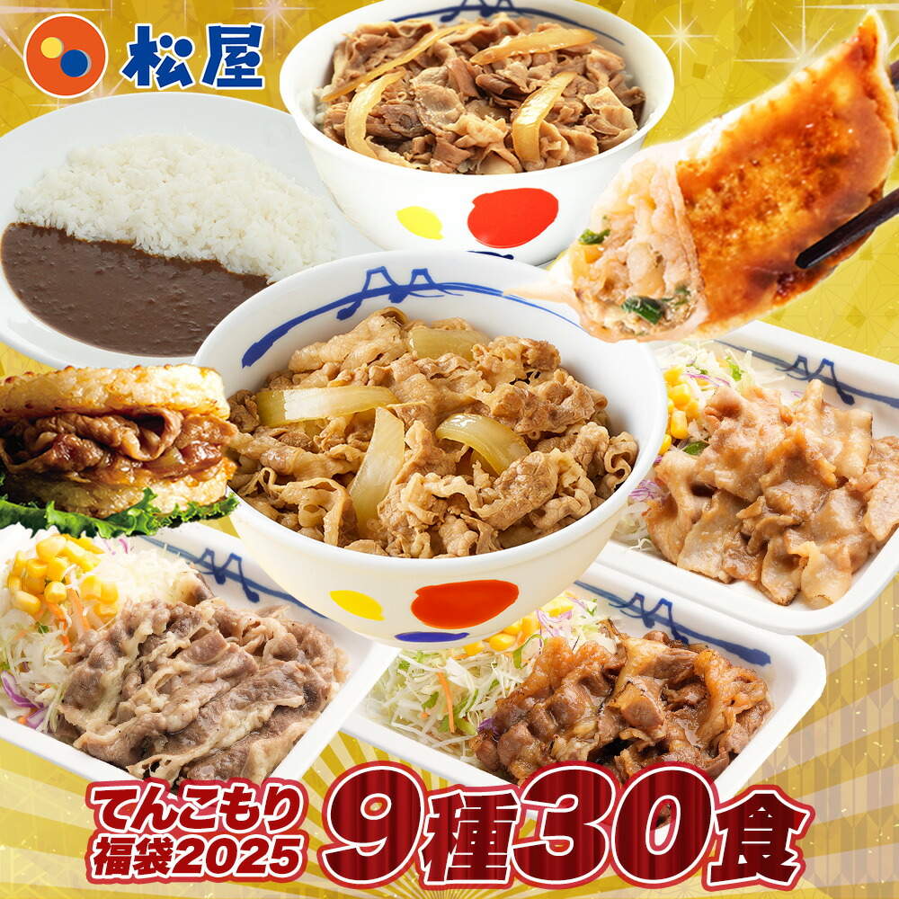 【1食223円！単品合計価格15,750円→6,680円！】2025年 松屋のてんこもり福袋！9種30食入り 冷凍食品 保存食 一人暮らし 牛丼 まつや 非常食