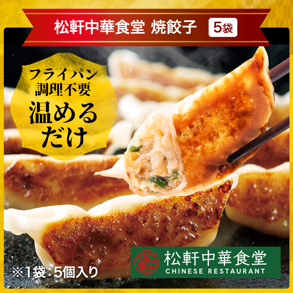 送料0円】(メーカー希望小売価格15500円→5980円) 餃子・中華丼・牛めし・カレーセット(餃子×5 中華丼×5 松屋 牛めしの具×10 牛丼  カレー×10) 送料無料 ごはんもの
