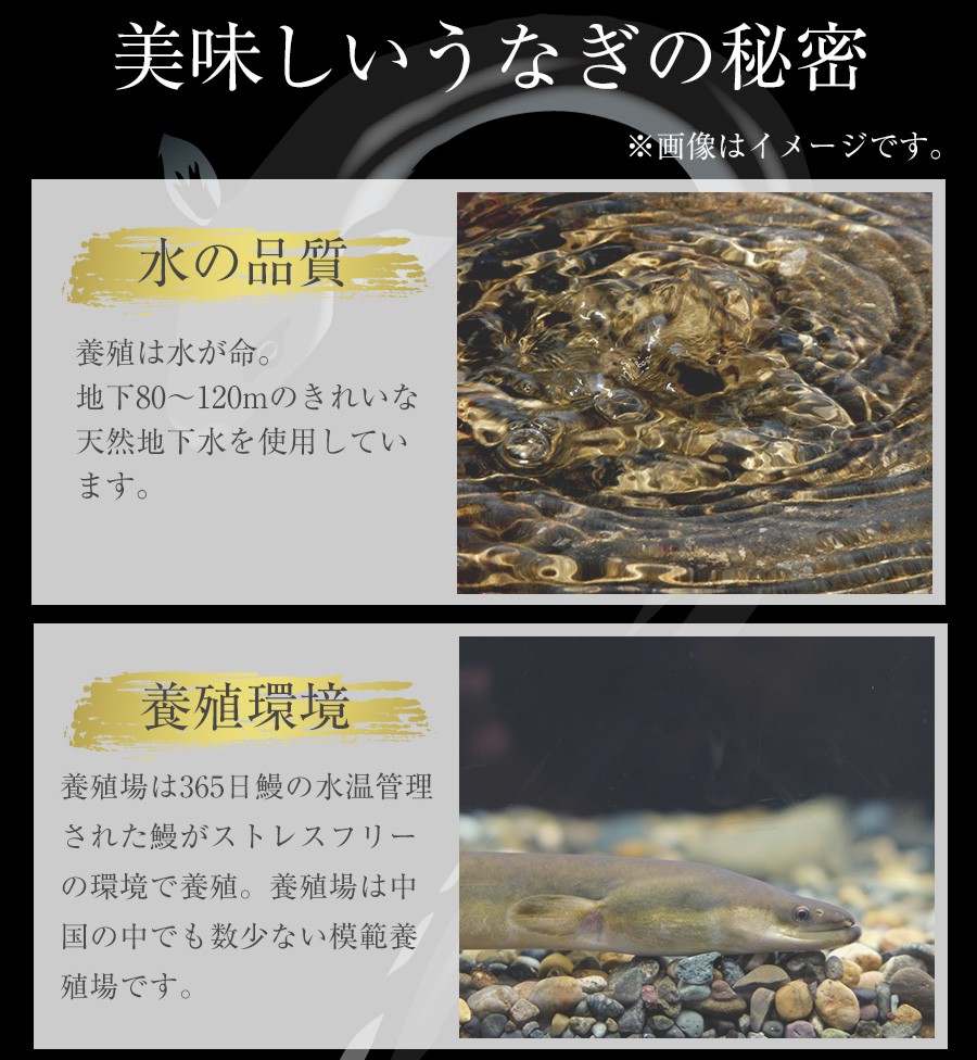 (メーカー希望小売価格4480円→3180円) 松屋のうな丼 うなぎ 鰻 松屋 すし松 うなぎカット4枚 うなぎ 鰻 丑の日 土用の丑の日 土用の丑 土用 うなぎ｜matsuyafoods｜07