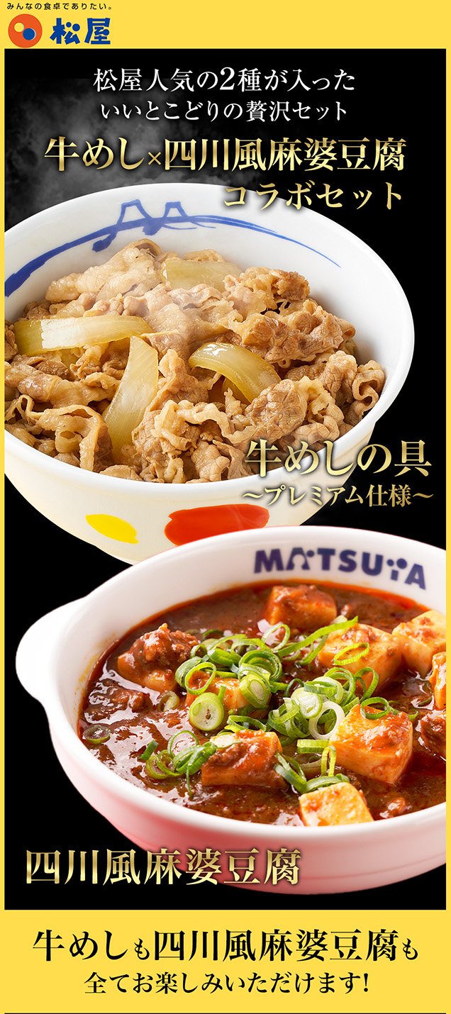 ZW 松屋 公式 牛めしの具 120g 10食 と 麻婆豆腐 10食 計20食セット 四川風 中華 中華料理 食品 グルメ 冷凍 冷凍食品 送料無料 おかず 非常食_1
