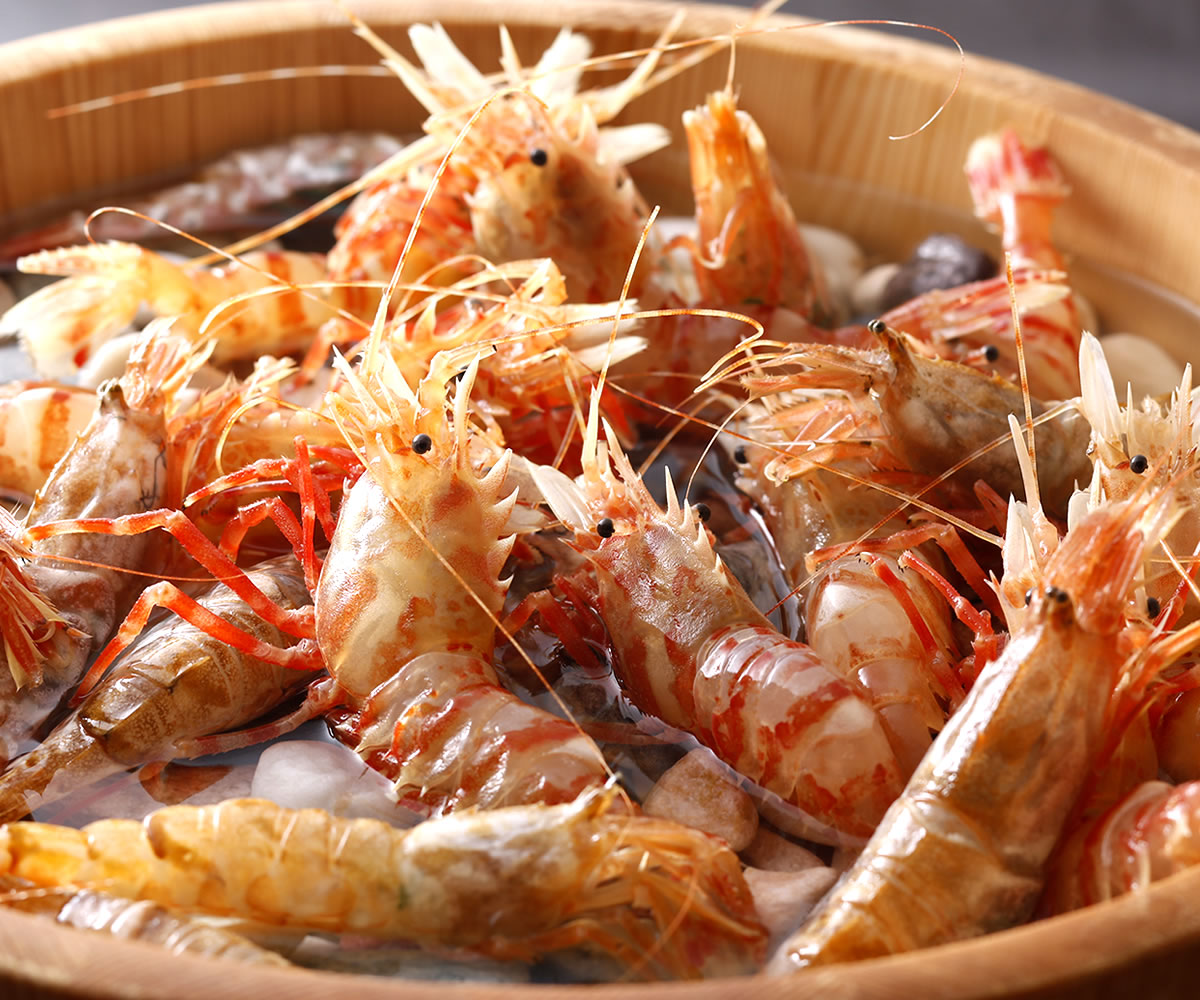 お刺身用 甘えび（船内冷凍）大サイズ 500g以上（山陰浜坂産）最も