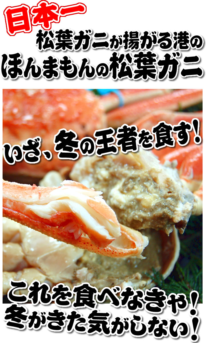 いざ、冬の王者、松葉ガニを食す
