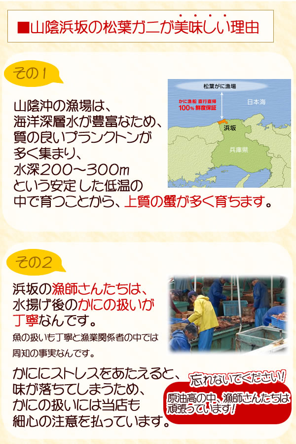 山陰浜坂の松葉蟹が美味しい理由
