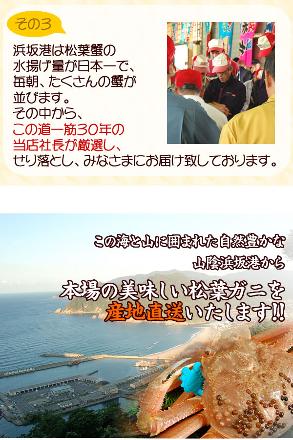 山と海に囲まれた自然豊かな山陰浜坂港より産地直送