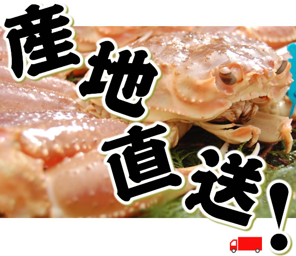 松葉かに産地直送