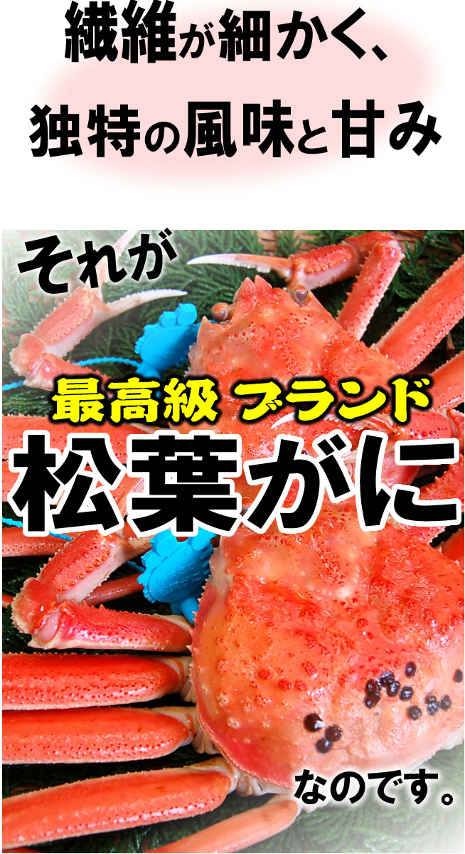 繊維が細かく、甘みがある、それが松葉ガニ
