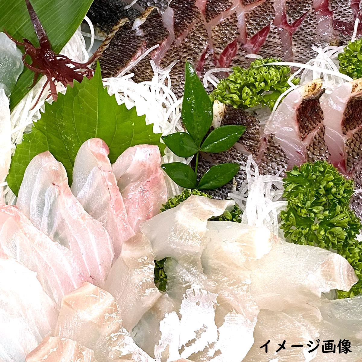 Amazon.co.jp: お刺身用 活平目2～3kg 山陰境港産 : 食品・飲料