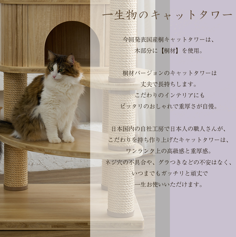 桐リッチエッグ