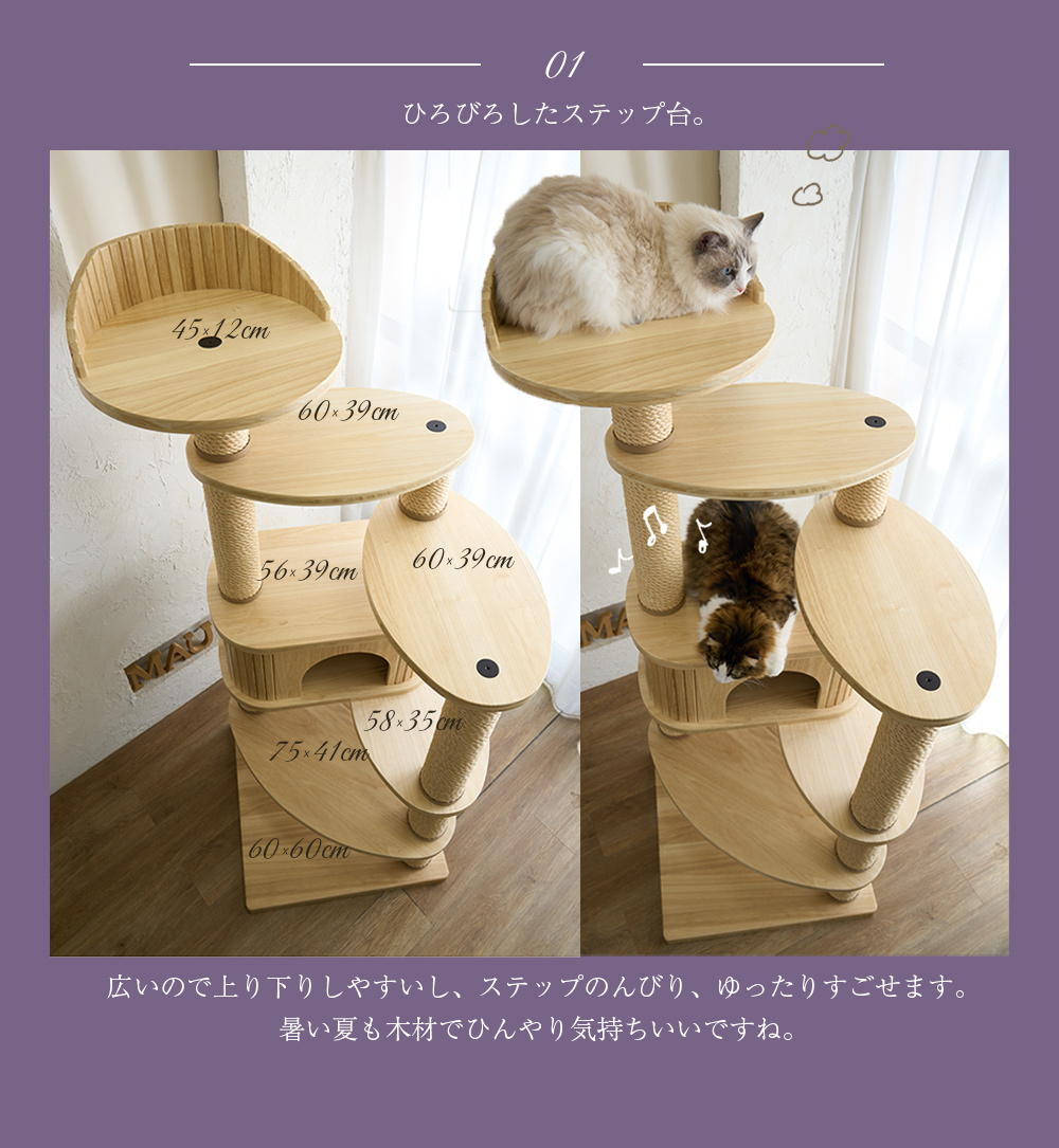 桐リッチエッグ