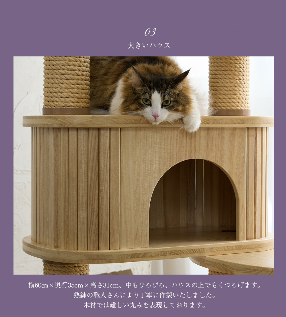 桐リッチエッグ