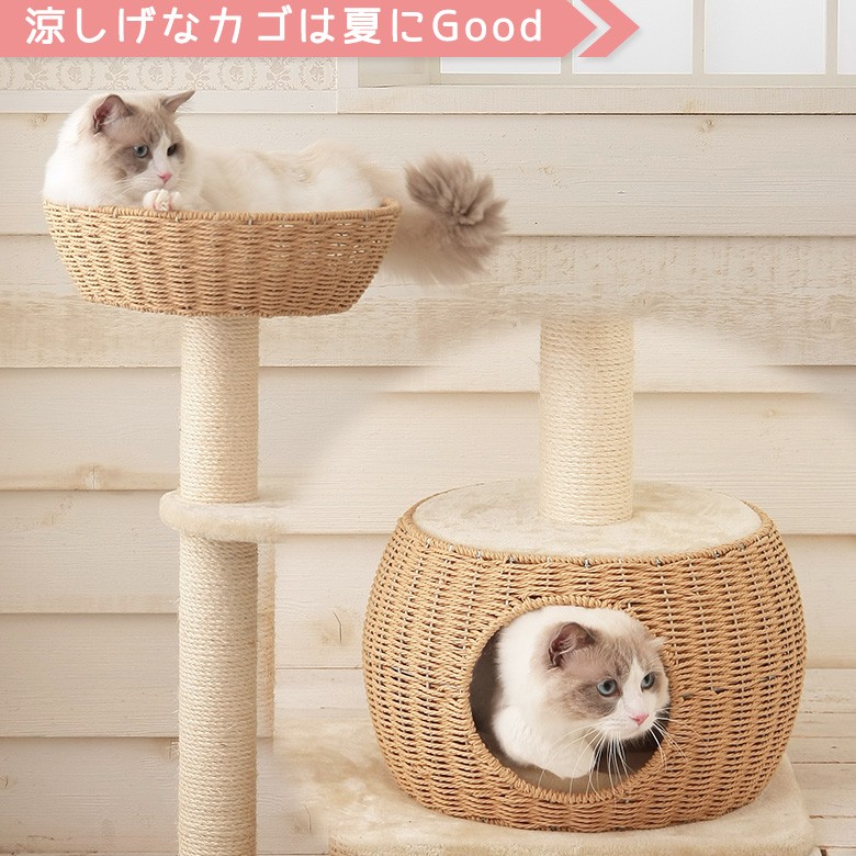 Mauタワーシャルマン