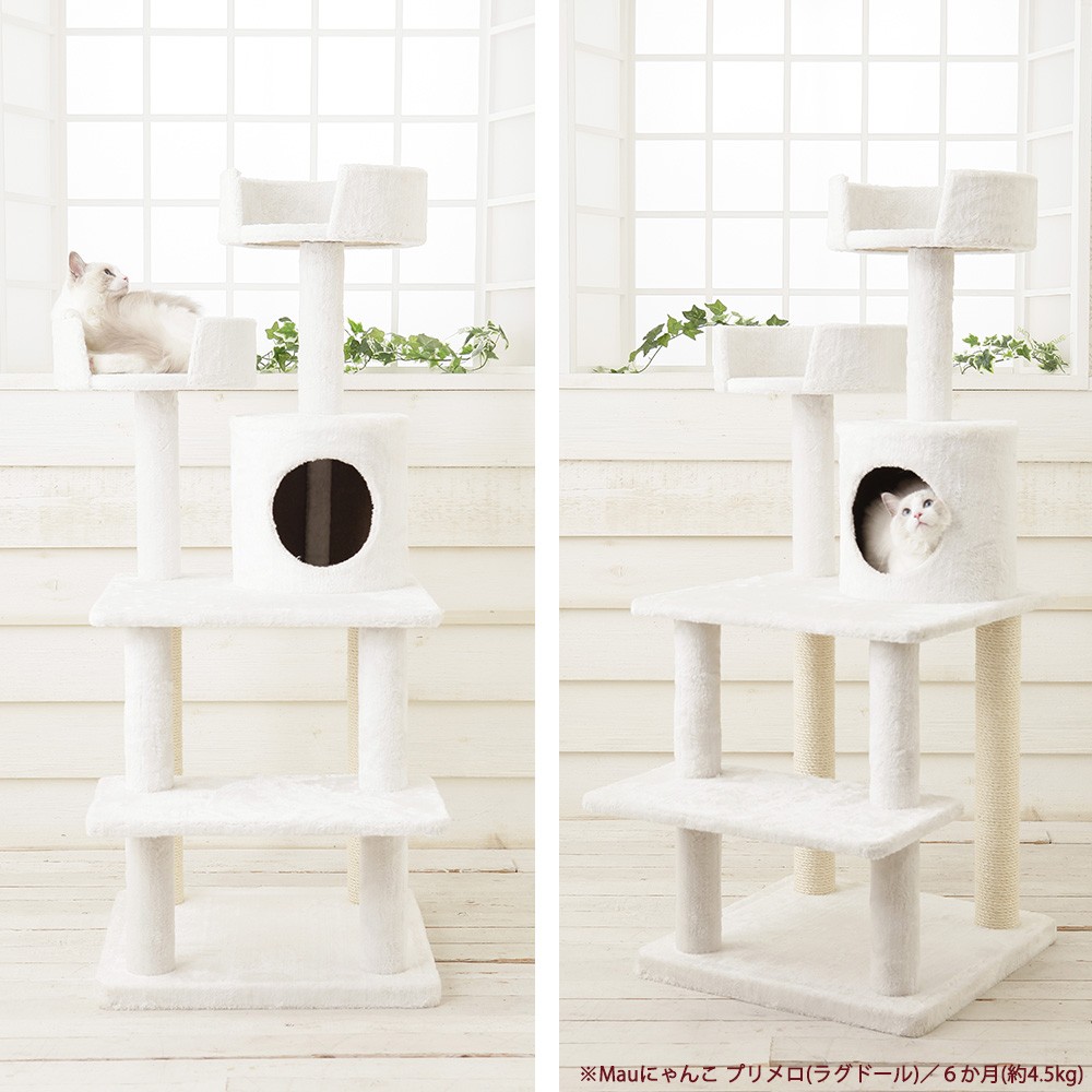 スリム キャットタワー❤️全麻縄巻き麻紐爪とぎ 置き型 ホワイト Mauタワーココ】キャットタワー 据え置き コンパクト 子猫