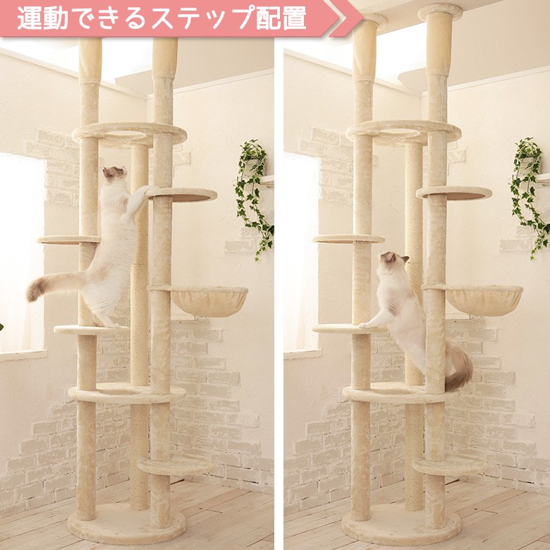 Mauタワーエシェル