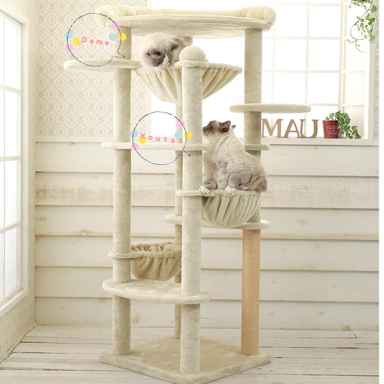 Mauタワーコメット