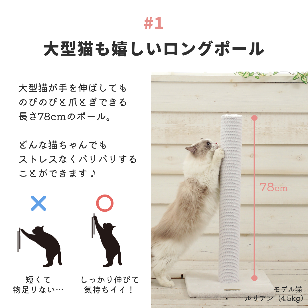 爪とぎキャットポール綿縄