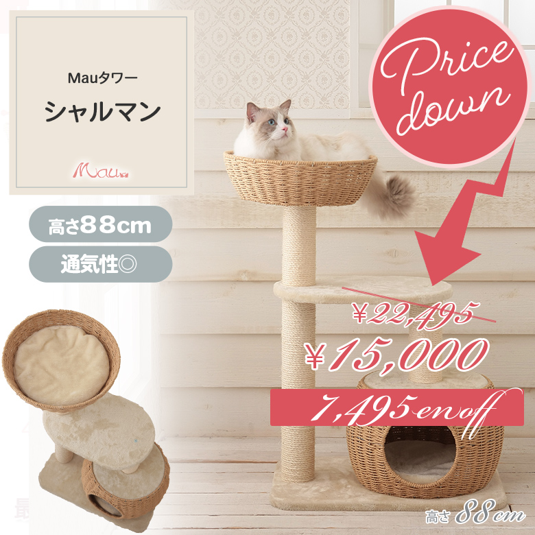 Mau キャットタワー シャルマン 猫の日月間 2/1〜2/28】キャットタワー シャルマン カゴハウス＆カゴ