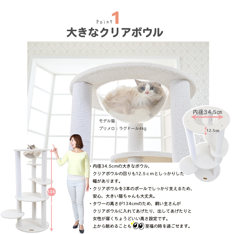 Mauタワービアンカおススメ1