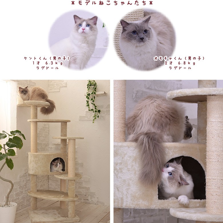 キャットタワー 据え置き 大型猫 シニア猫 ハンモック取付可 多頭飼い 子猫 高さ160cm 爪とぎ 麻縄 交換 安定 組立簡単 猫タワー【 Mauタワーリッチエッグ】 : mt-038 : オリジナルキャットタワー Mau - 通販 - Yahoo!ショッピング