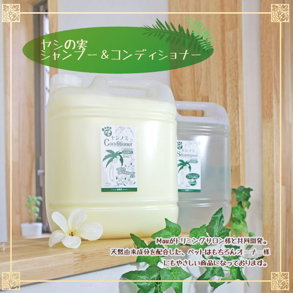 mauシャンプー s1-4l.jpg
