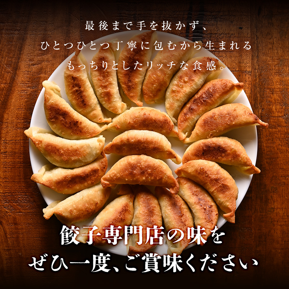 送料無料】もっちり餃子100個 生餃子 宮崎餃子大容量 もちもち