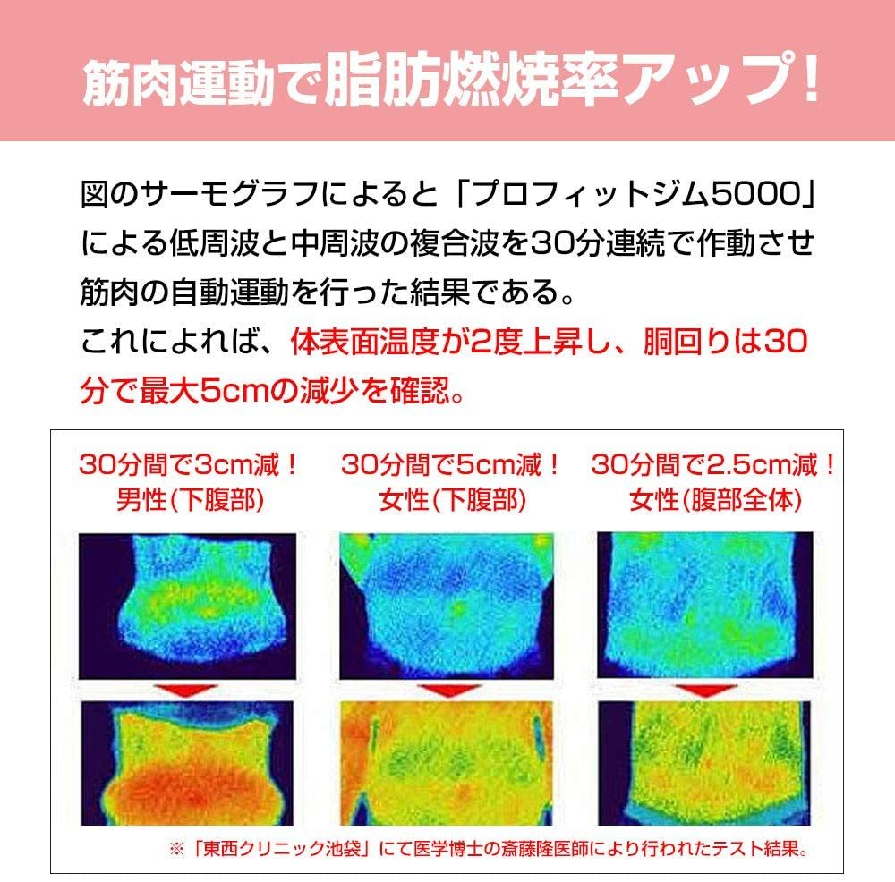 中周波 5000Hz EMS 8パット全身 筋肉運動 脂肪燃焼 プロフィットジム5000 正規品 9段階調節 腹筋 腕 脚 背中 日本製 :  107069000 : マックスコスメ - 通販 - Yahoo!ショッピング