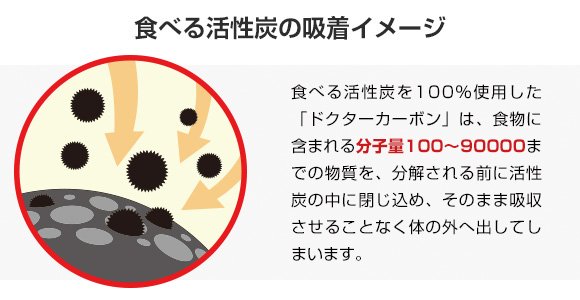 炭加工食品　浄化美人　新品未開封　腎臓　肝臓　炭吸着剤 ヨドバシ.com - 脳内美人 浄化美人 45g（180粒） 通販【全品無料配達】