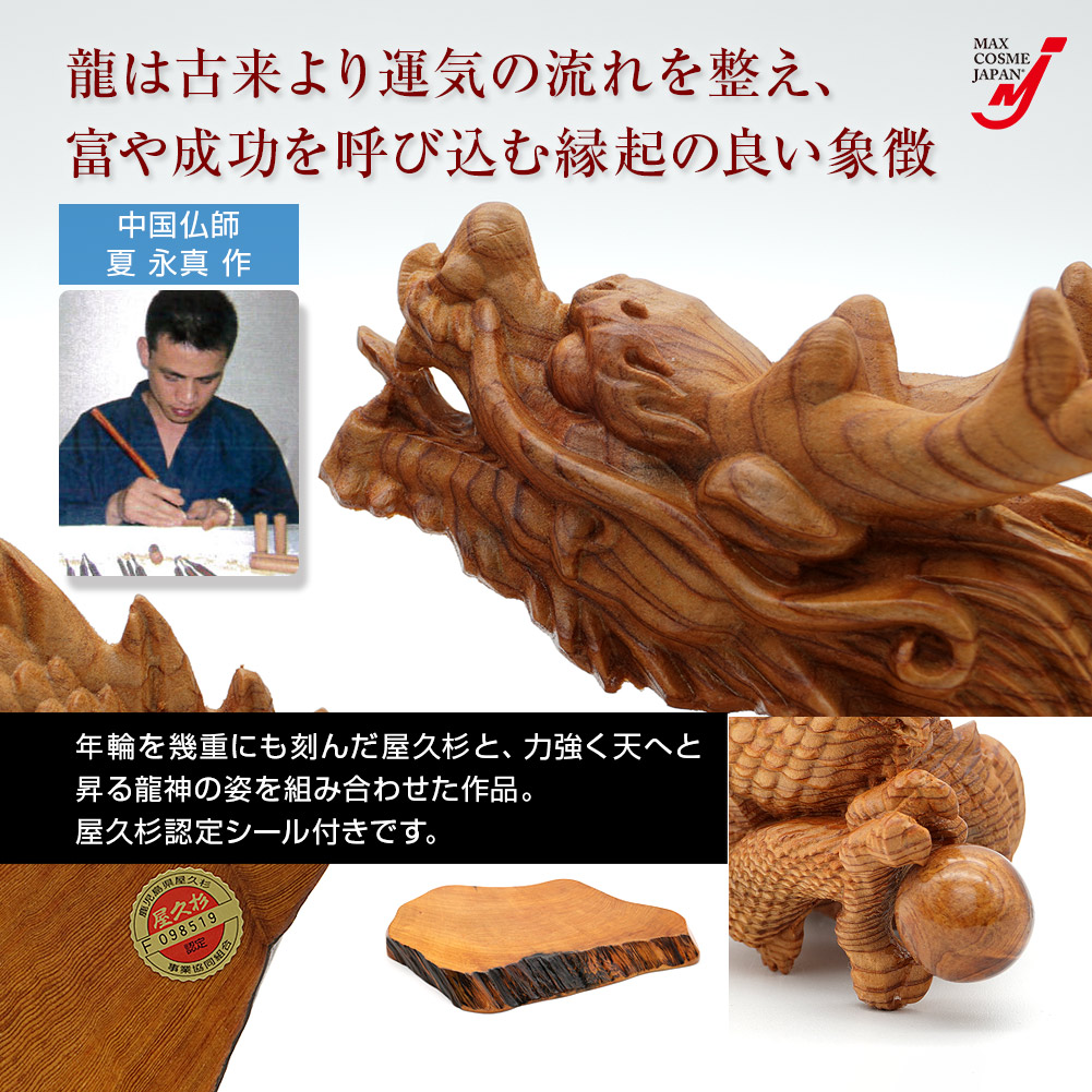 屋久杉 龍神 龍の置物 木彫り 風水 開運 金運 高級 インテリア 玄関