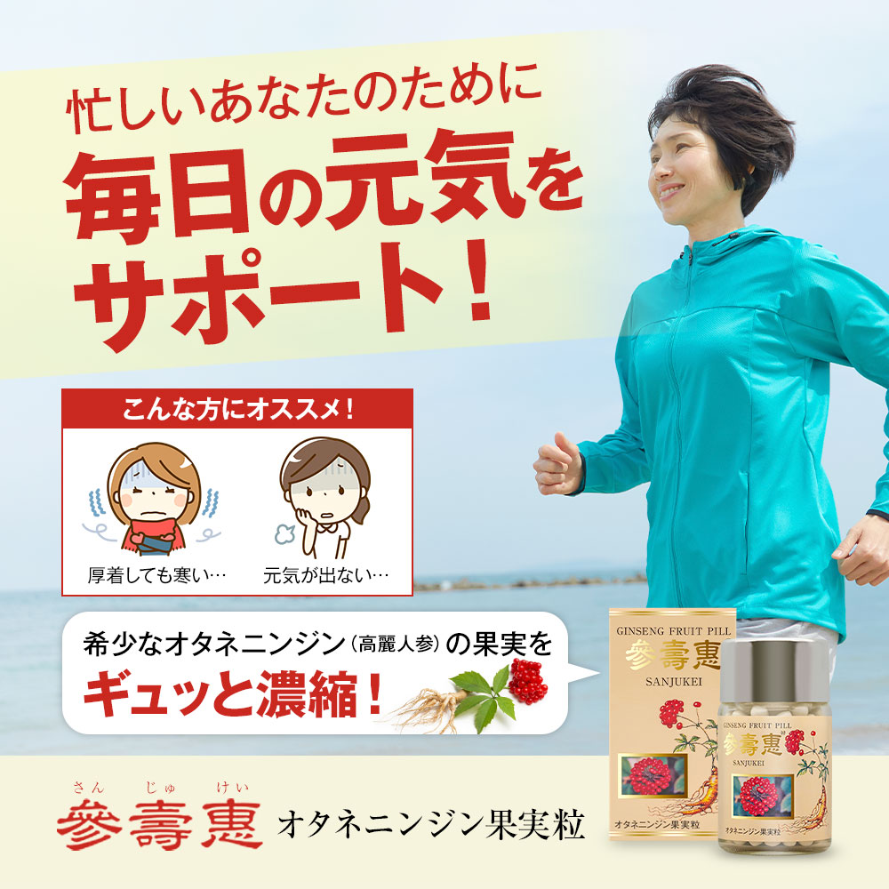 高麗人参 オタネニンジン果実入り サプリメント オタネニンジン