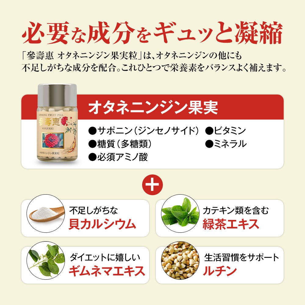 最高級野山参(オタネニンジン) 高麗人参 オタネニンジン果実入り サプリメント オタネニンジン