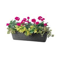 ペット・花・観葉植物