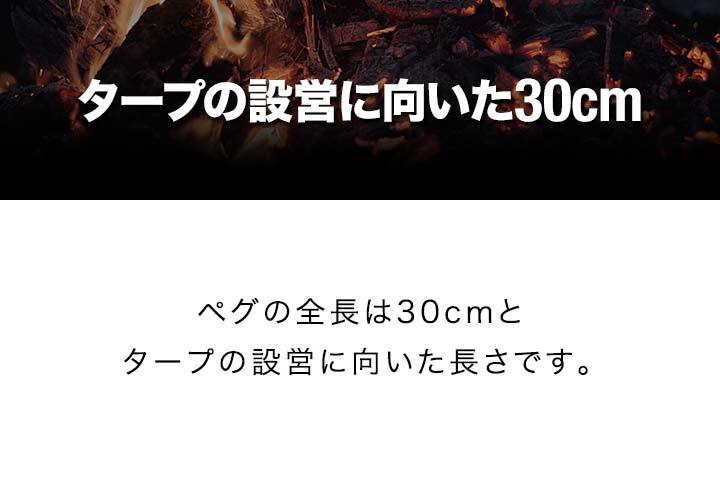 フィールドア 30cm チタンペグ16本 村の鍛冶屋 ハンマーセット 収納ケース FIELDOOR（フィールドア） ペグ 30cm 16本セット チタン 軽量 錆びに